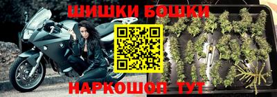 гидра Ливны