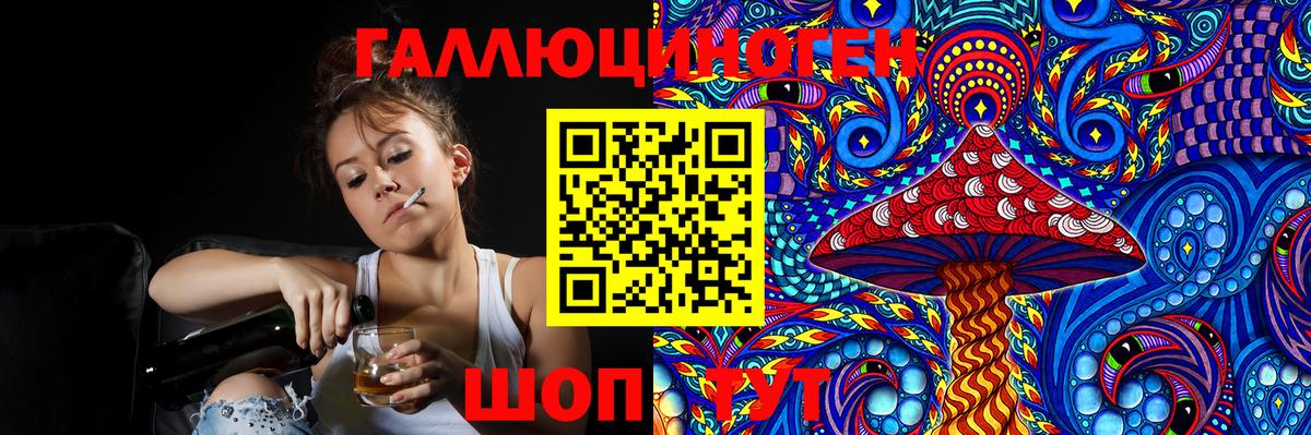 Галлюциногенные грибы Psilocybine cubensis Гуково