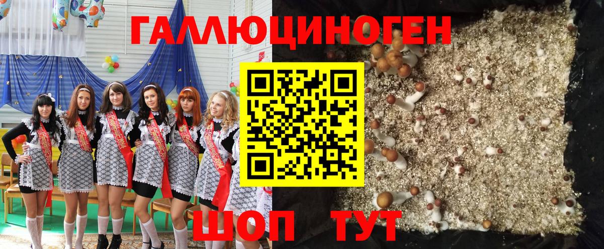 Псилоцибиновые грибы MAGIC MUSHROOMS  Вход с VPN  Гуково 
